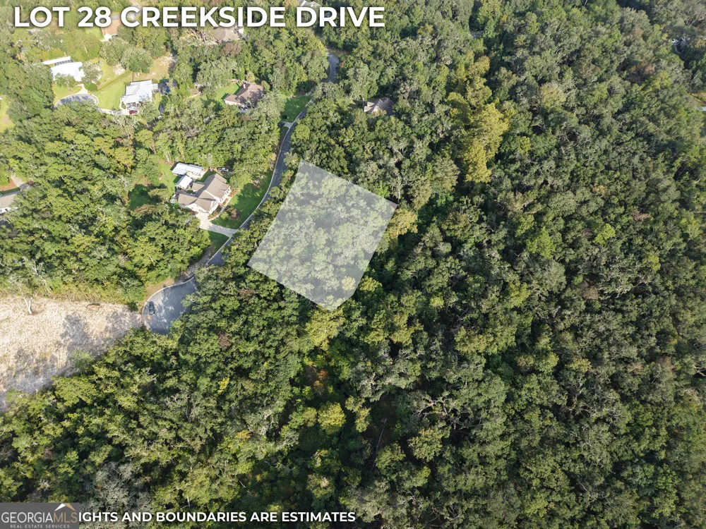 LOT 28 Creekside DR Waverly, GA 31565
