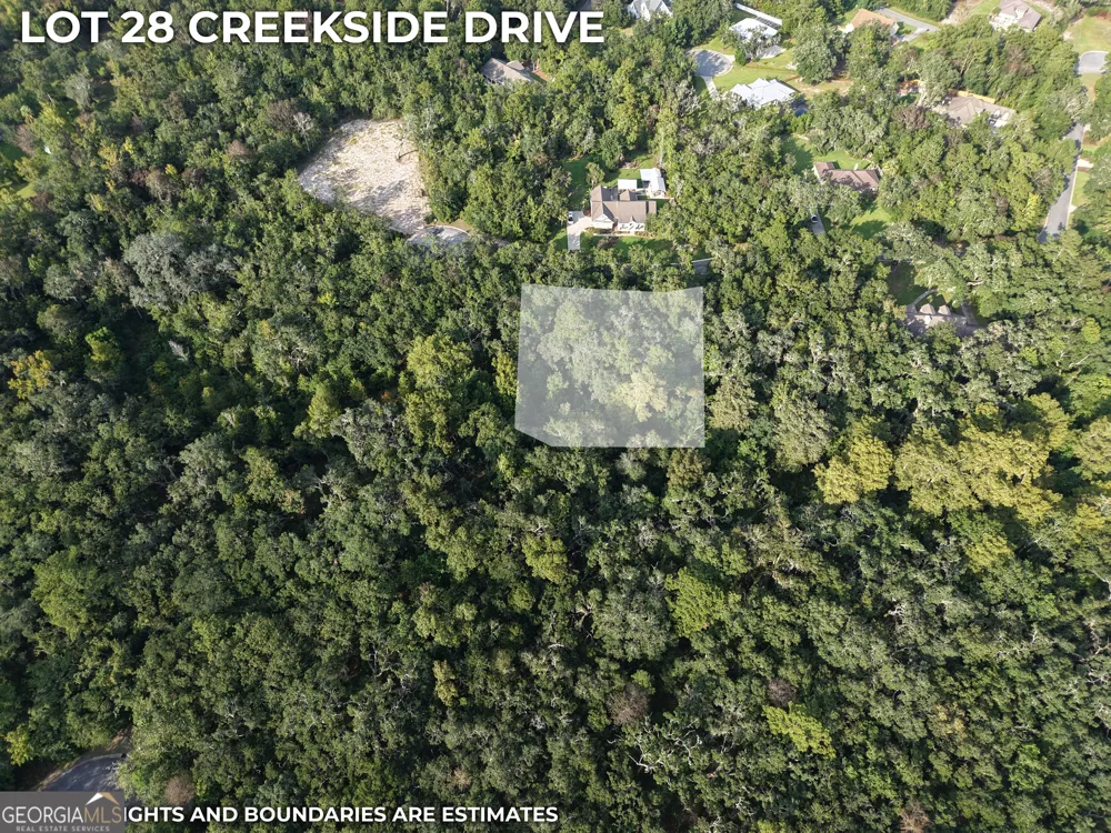 LOT 28 Creekside DR Waverly, GA 31565