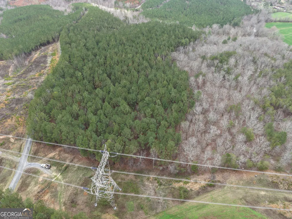 0 Johnson Mountain RD Rydal, GA 30171