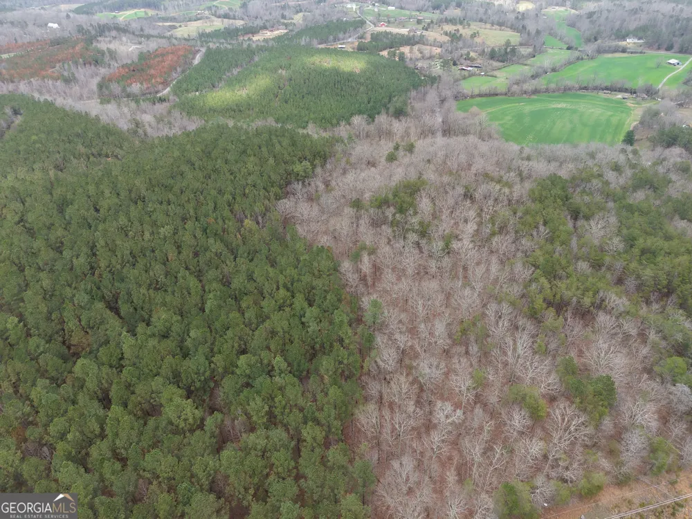 0 Johnson Mountain RD Rydal, GA 30171