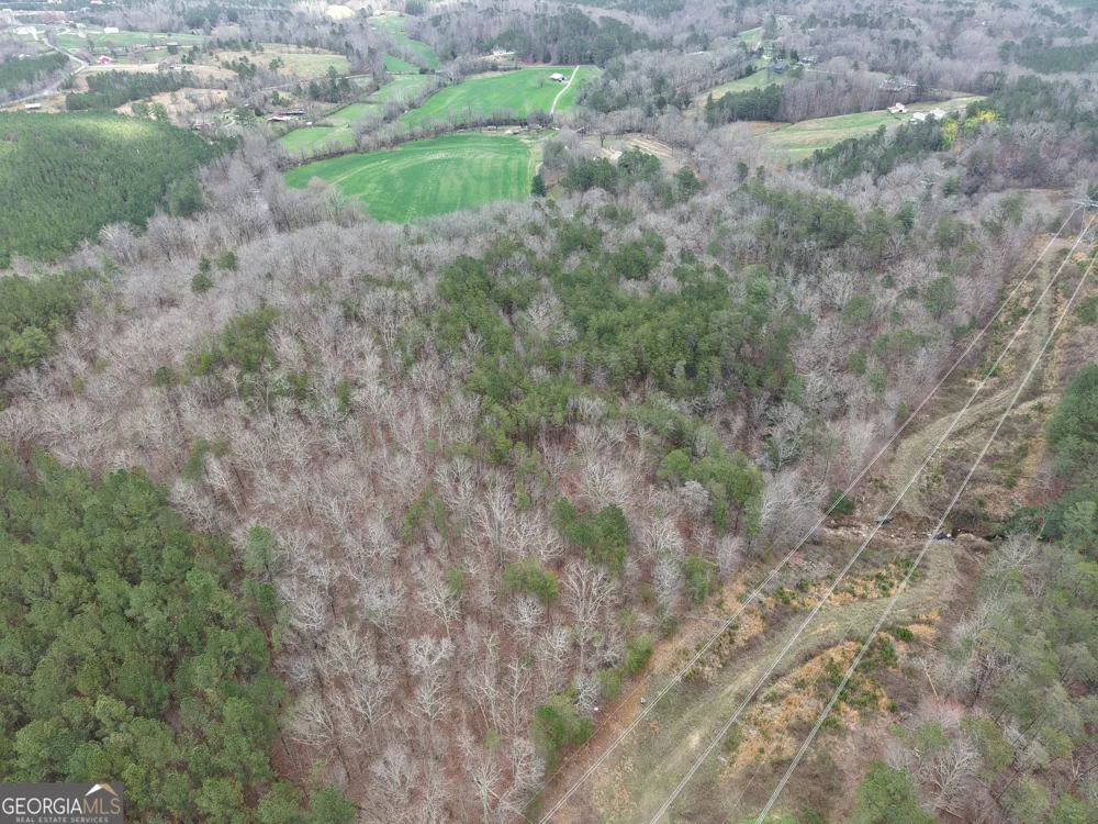 0 Johnson Mountain RD Rydal, GA 30171