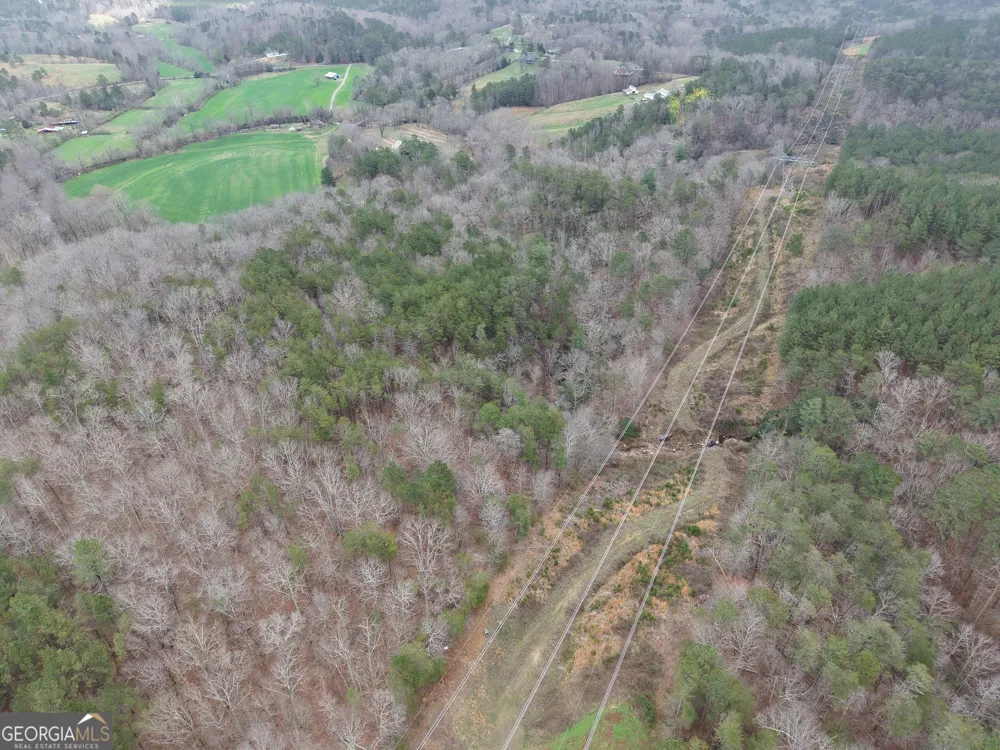 0 Johnson Mountain RD Rydal, GA 30171
