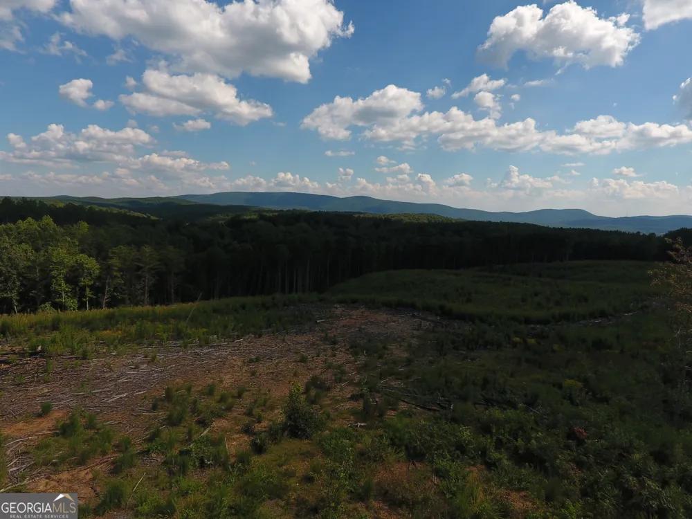 0 Johnson Mountain RD Rydal, GA 30171
