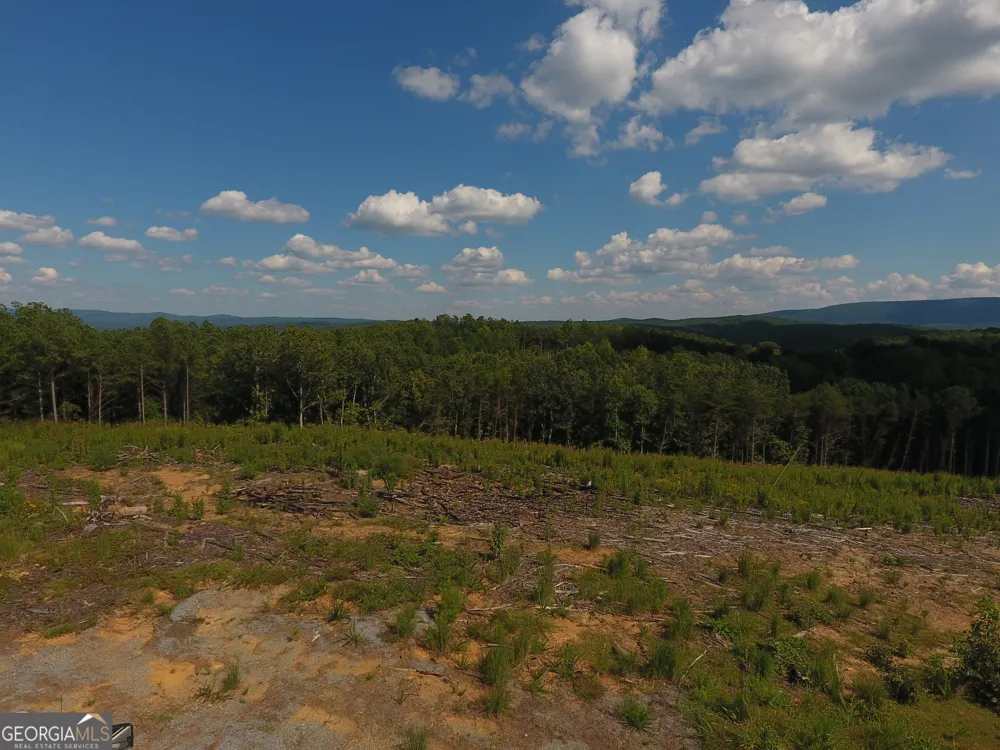 0 Johnson Mountain RD Rydal, GA 30171
