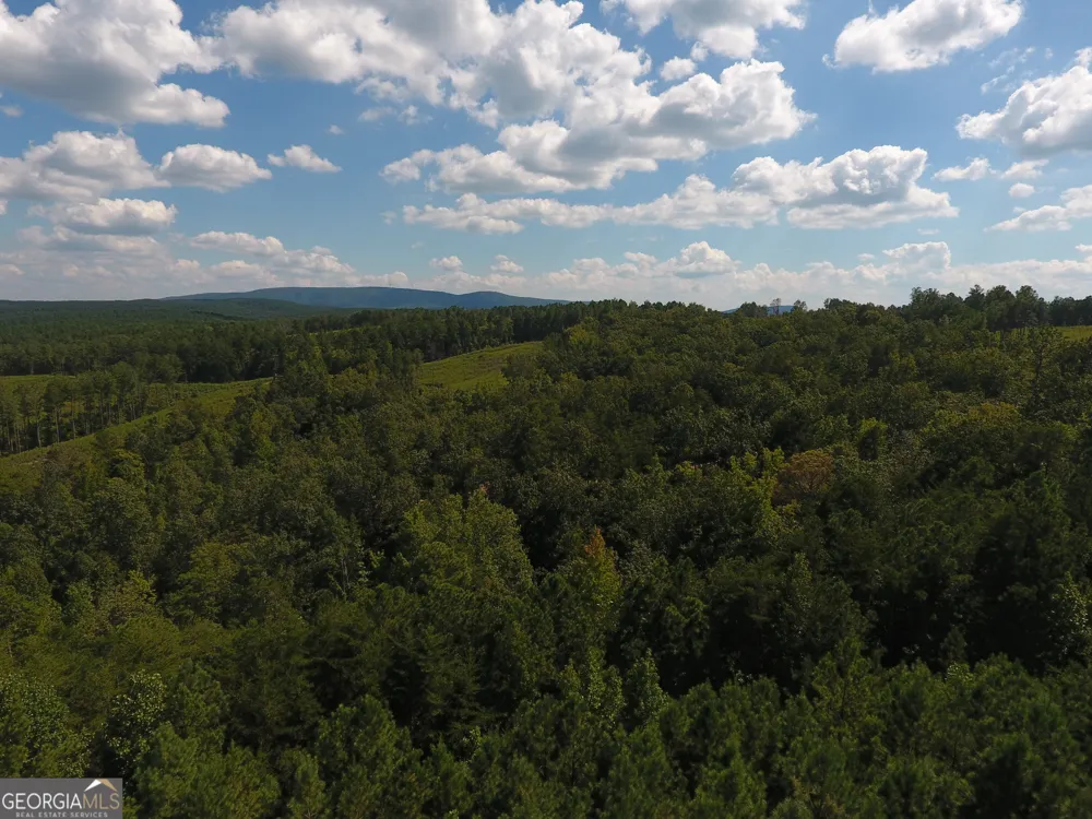 0 Johnson Mountain RD Rydal, GA 30171