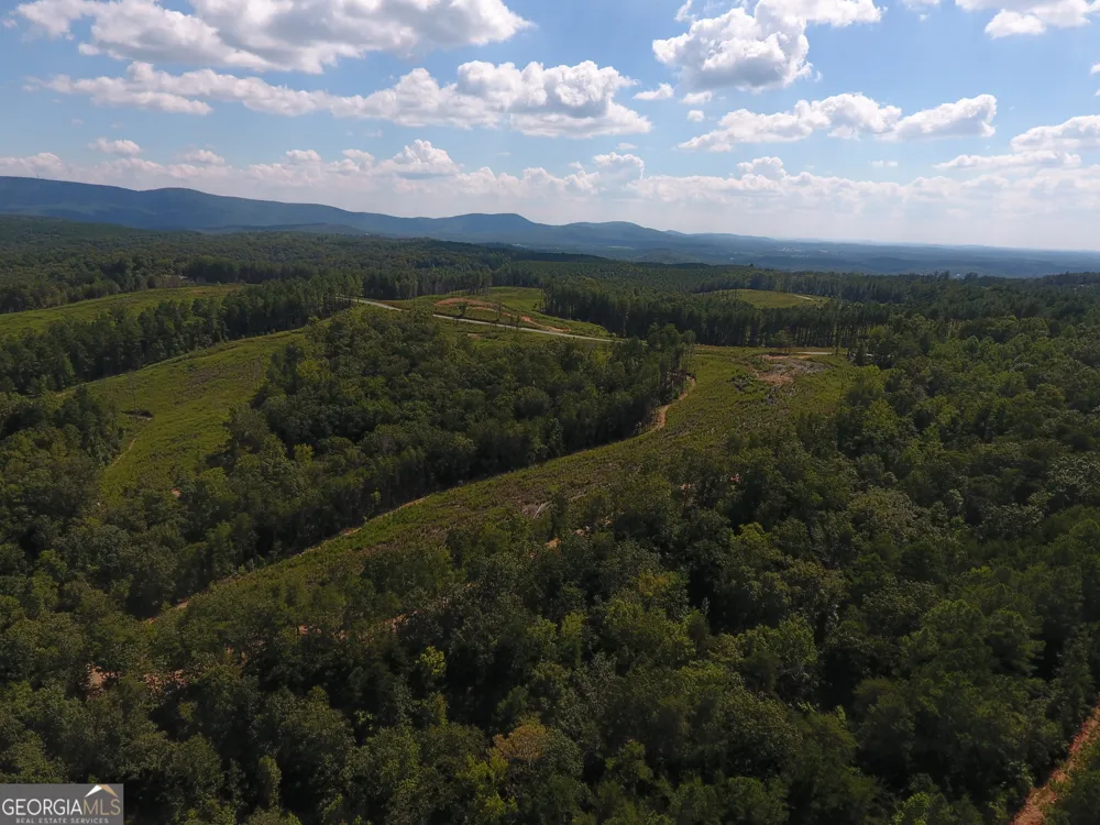 0 Johnson Mountain RD Rydal, GA 30171