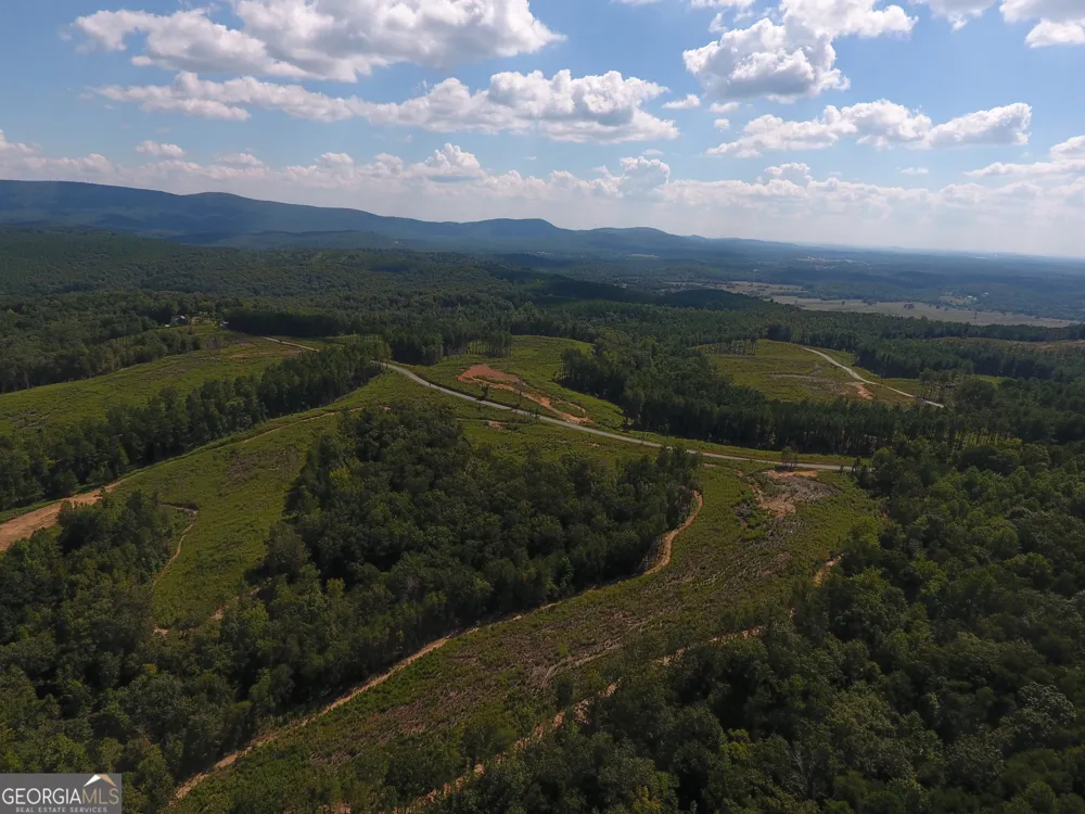 0 Johnson Mountain RD Rydal, GA 30171