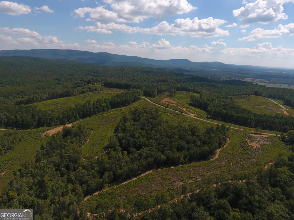 0 Johnson Mountain RD Rydal, GA 30171