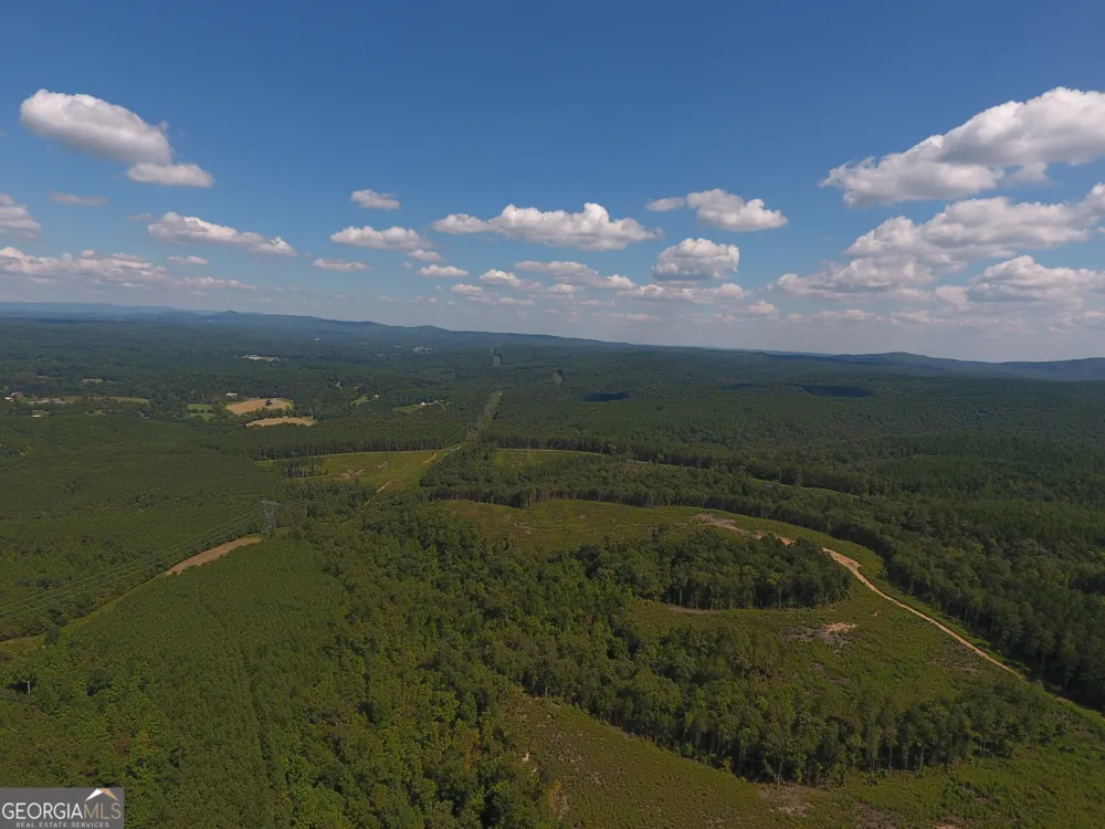 0 Johnson Mountain RD Rydal, GA 30171