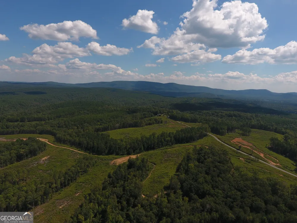 0 Johnson Mountain RD Rydal, GA 30171