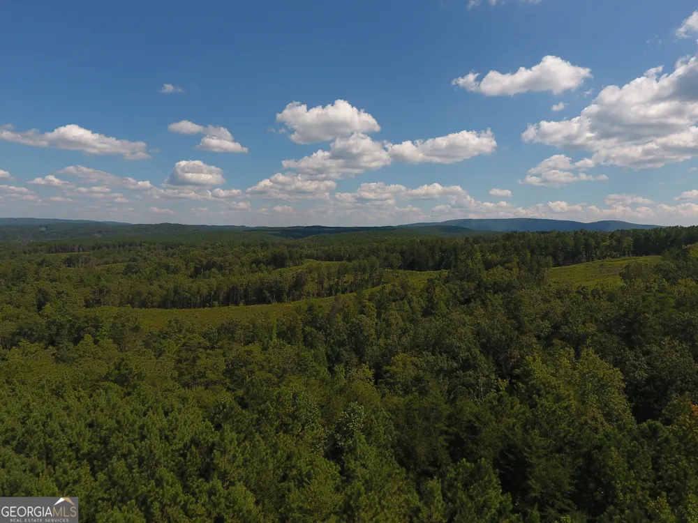 0 Johnson Mountain RD Rydal, GA 30171