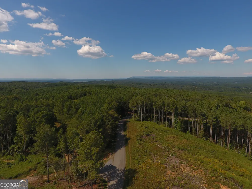 0 Johnson Mountain RD Rydal, GA 30171