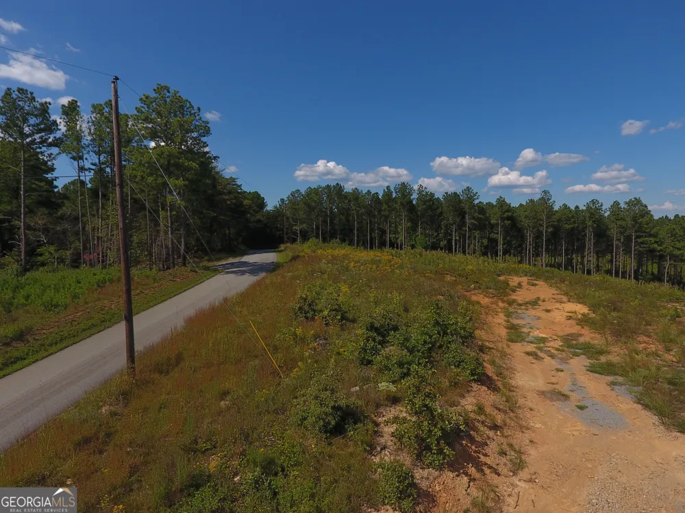 0 Johnson Mountain RD Rydal, GA 30171