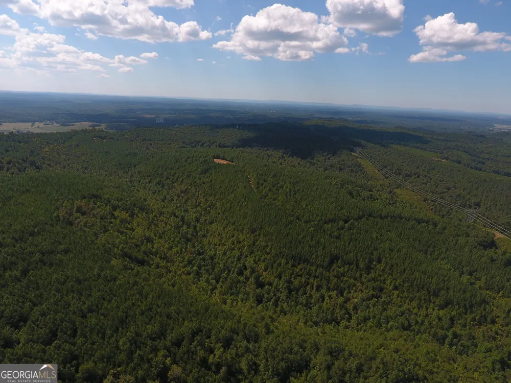 0 Johnson Mountain RD Rydal, GA 30171