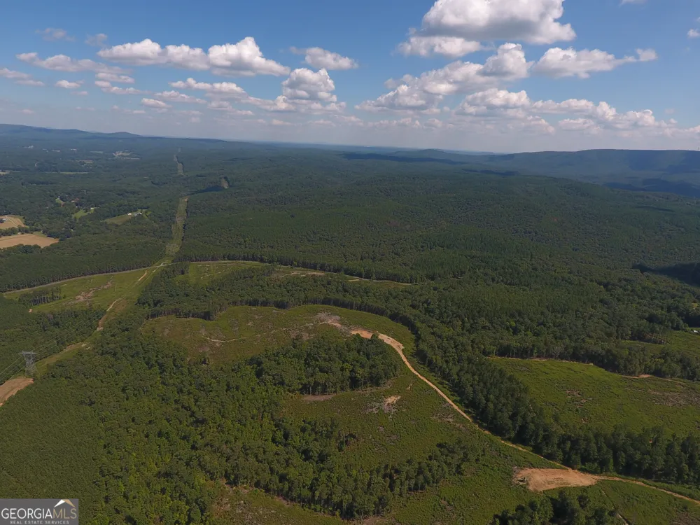 0 Johnson Mountain RD Rydal, GA 30171