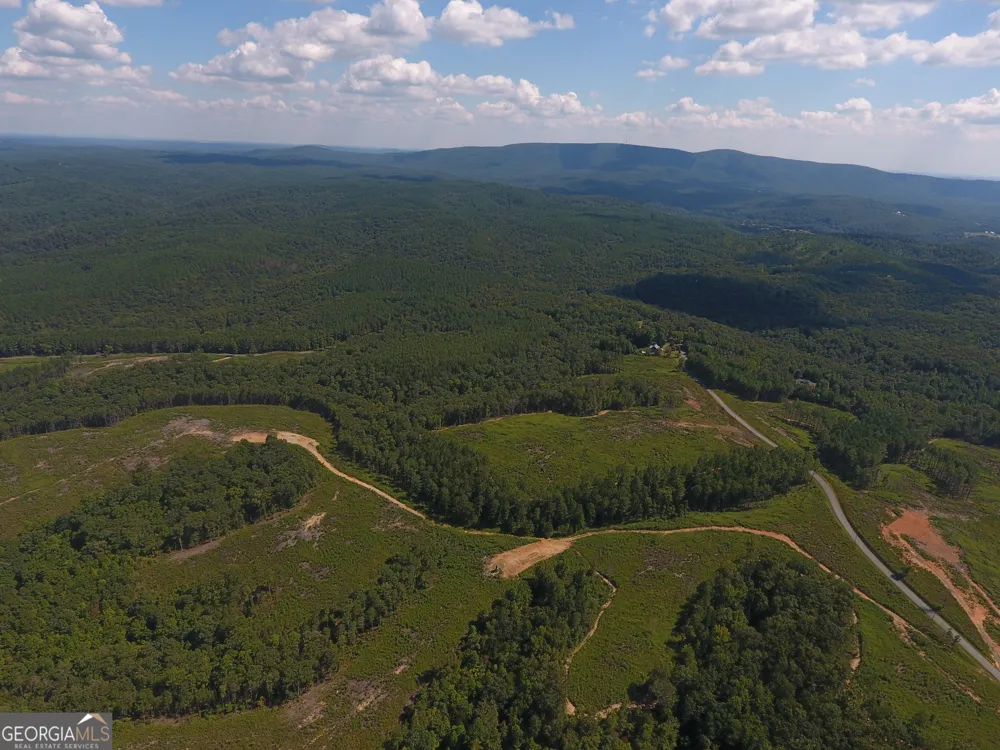 0 Johnson Mountain RD Rydal, GA 30171