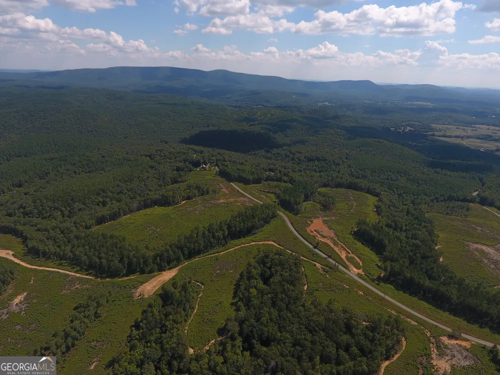 0 Johnson Mountain RD Rydal, GA 30171
