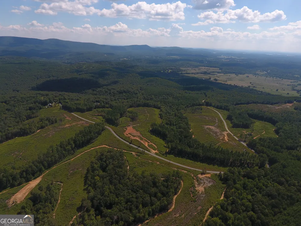 0 Johnson Mountain RD Rydal, GA 30171