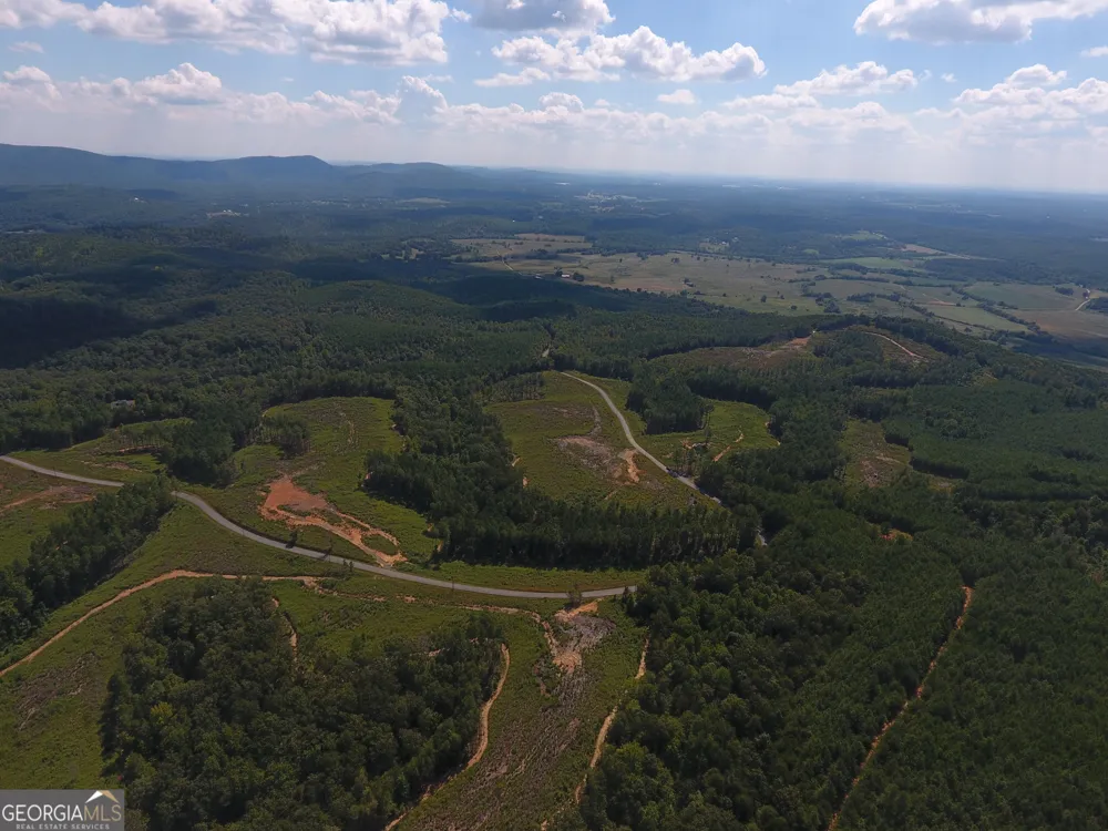 0 Johnson Mountain RD Rydal, GA 30171