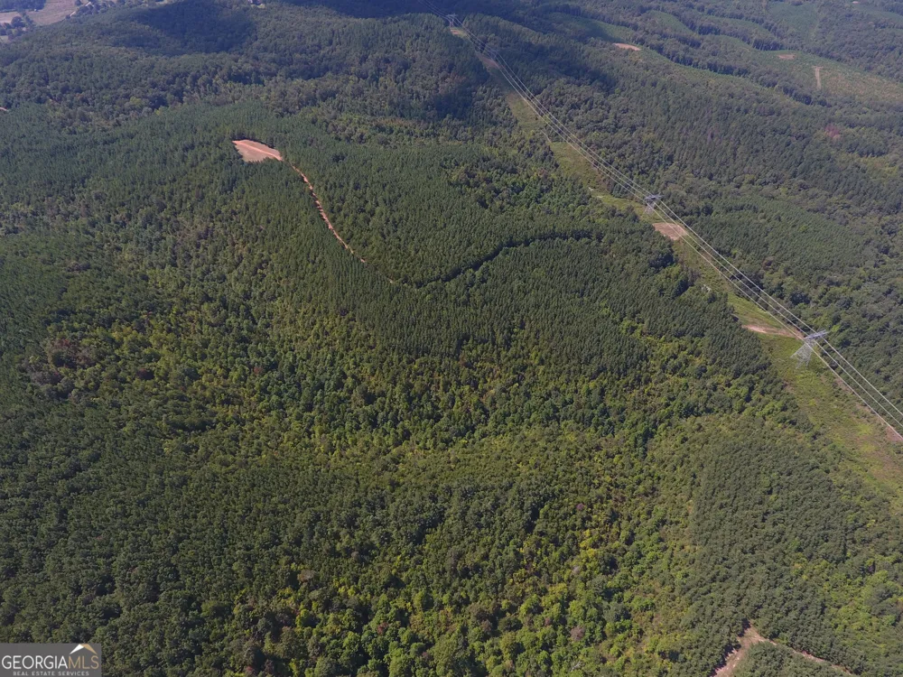 0 Johnson Mountain RD Rydal, GA 30171