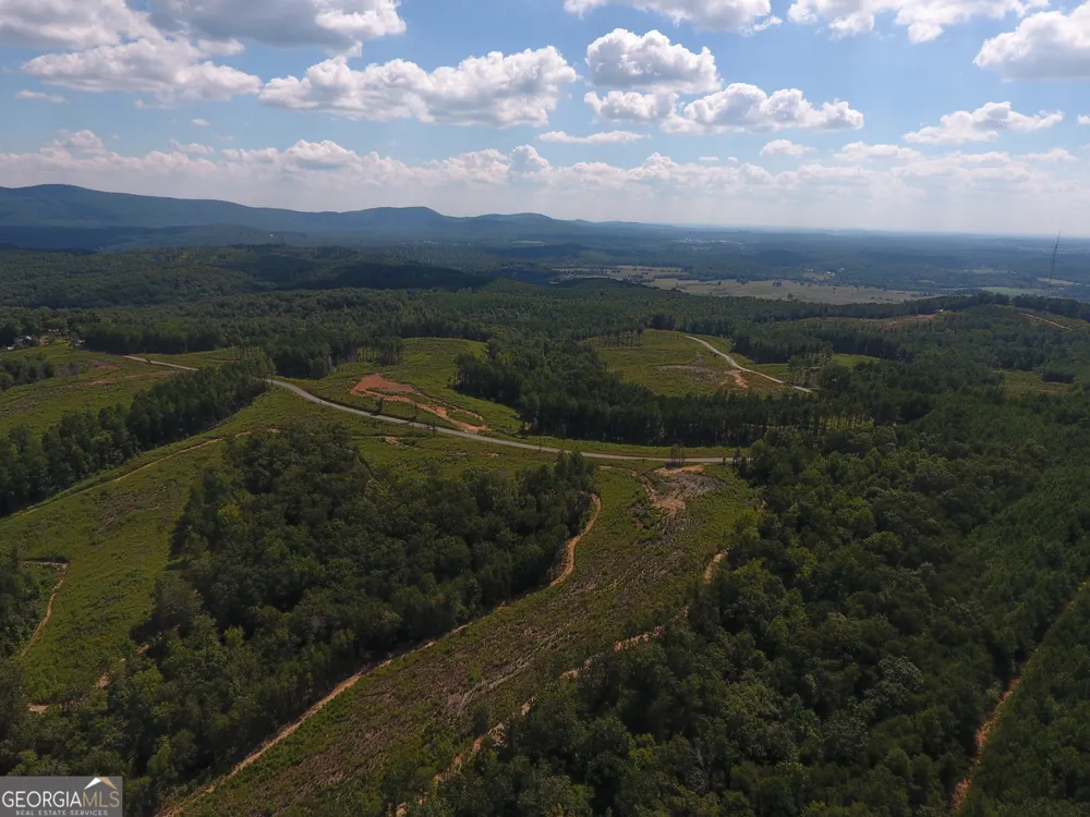 0 Johnson Mountain RD Rydal, GA 30171