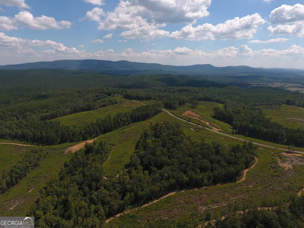 0 Johnson Mountain RD Rydal, GA 30171