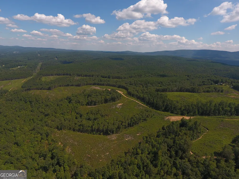 0 Johnson Mountain RD Rydal, GA 30171