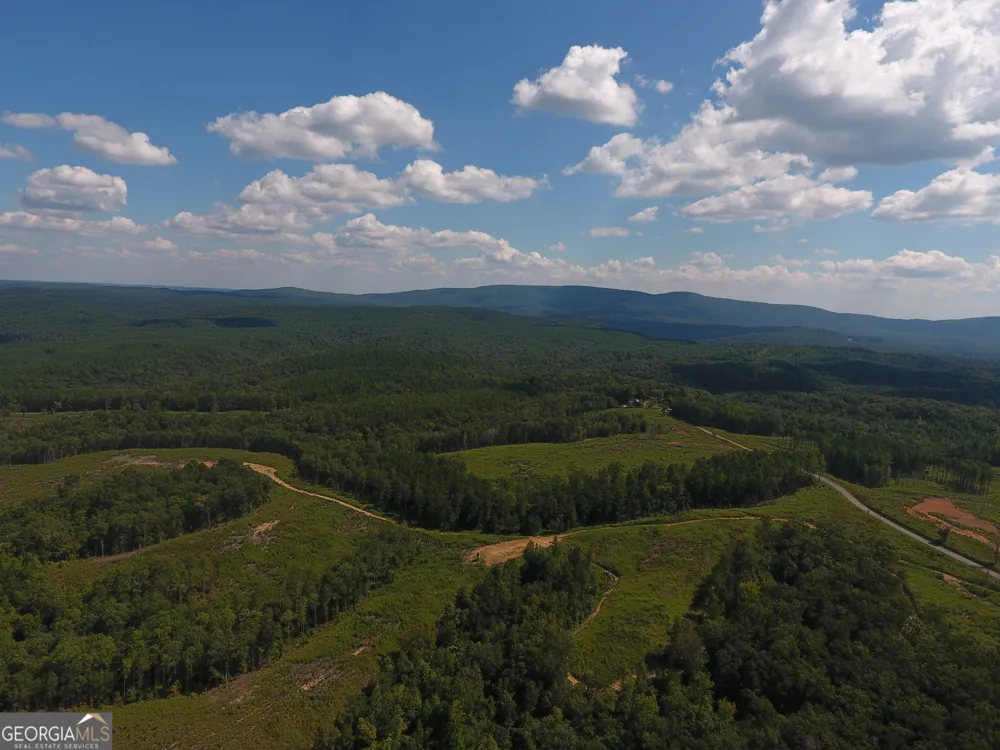 0 Johnson Mountain RD Rydal, GA 30171