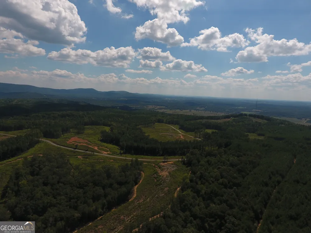 0 Johnson Mountain RD Rydal, GA 30171