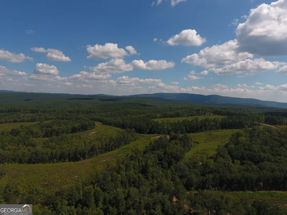 0 Johnson Mountain RD Rydal, GA 30171