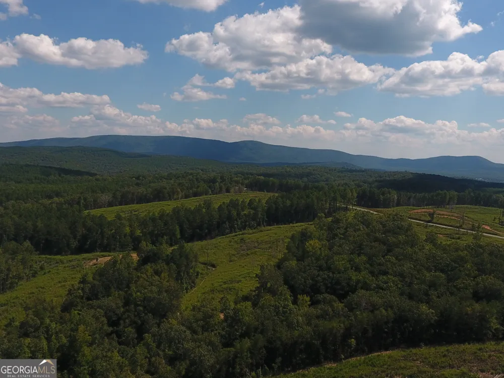 0 Johnson Mountain RD Rydal, GA 30171