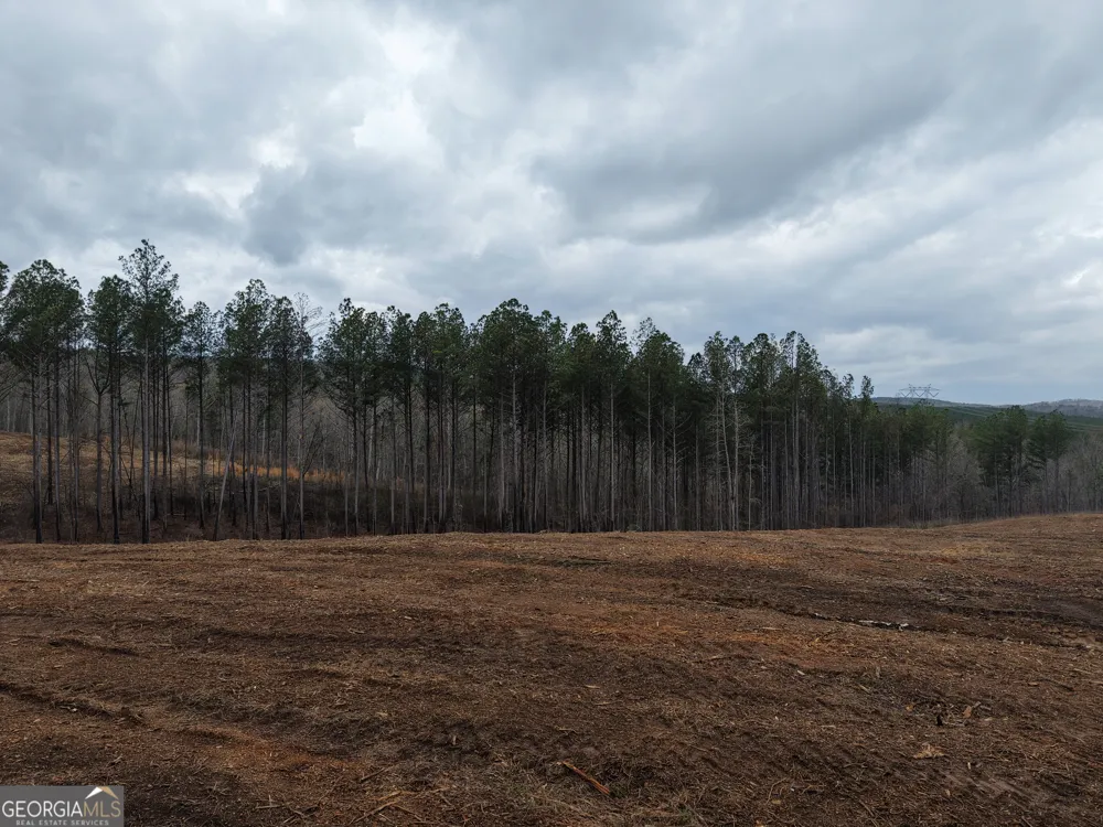 0 Johnson Mountain RD Rydal, GA 30171