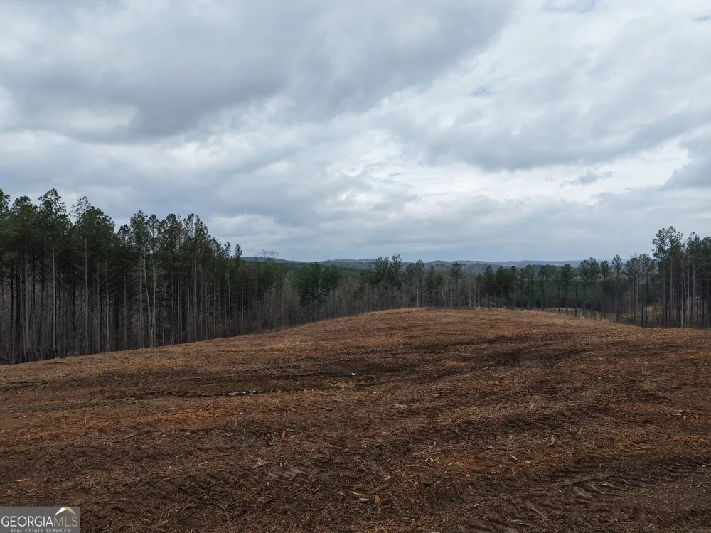 0 Johnson Mountain RD Rydal, GA 30171