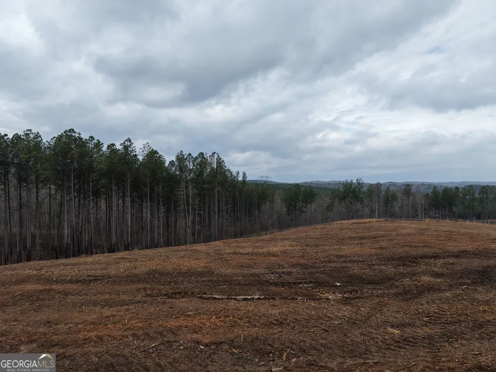 0 Johnson Mountain RD Rydal, GA 30171
