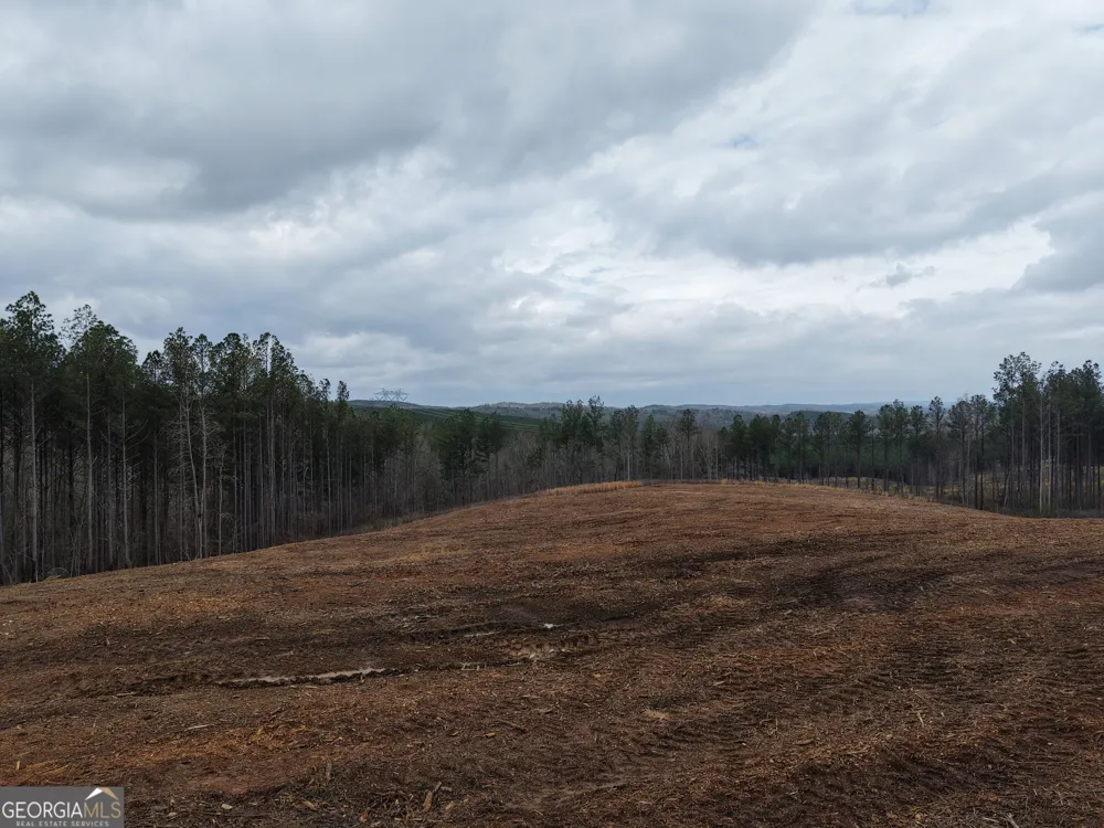 0 Johnson Mountain RD Rydal, GA 30171