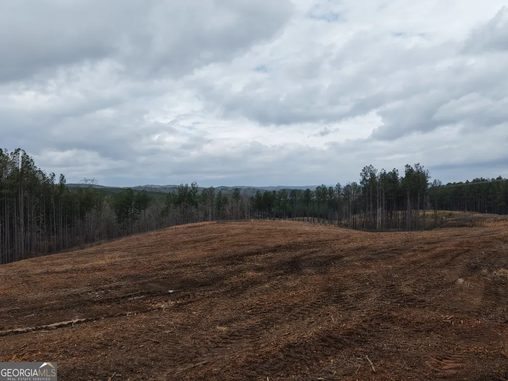 0 Johnson Mountain RD Rydal, GA 30171