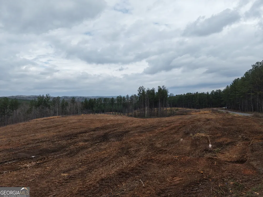 0 Johnson Mountain RD Rydal, GA 30171