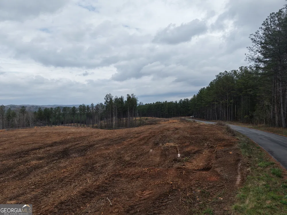 0 Johnson Mountain RD Rydal, GA 30171