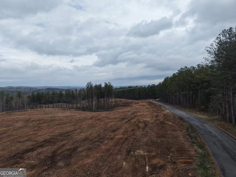 0 Johnson Mountain RD Rydal, GA 30171