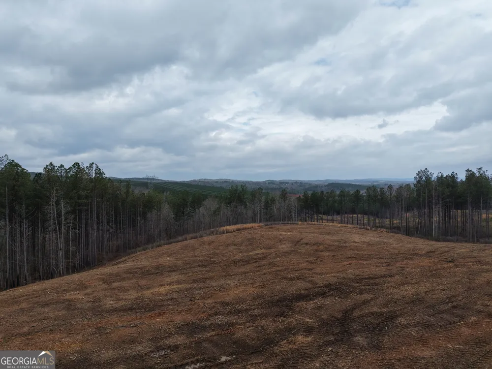 0 Johnson Mountain RD Rydal, GA 30171