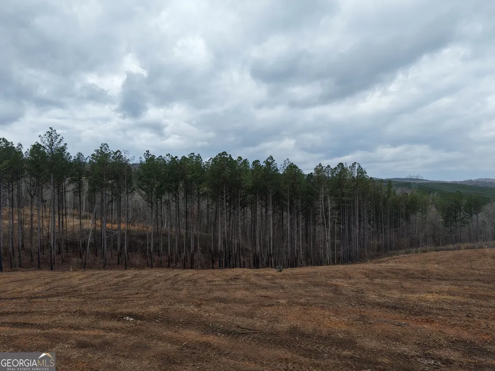 0 Johnson Mountain RD Rydal, GA 30171