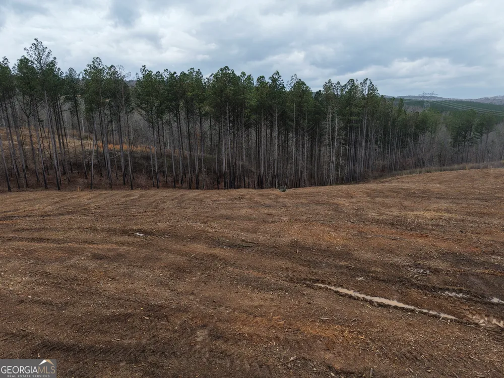 0 Johnson Mountain RD Rydal, GA 30171
