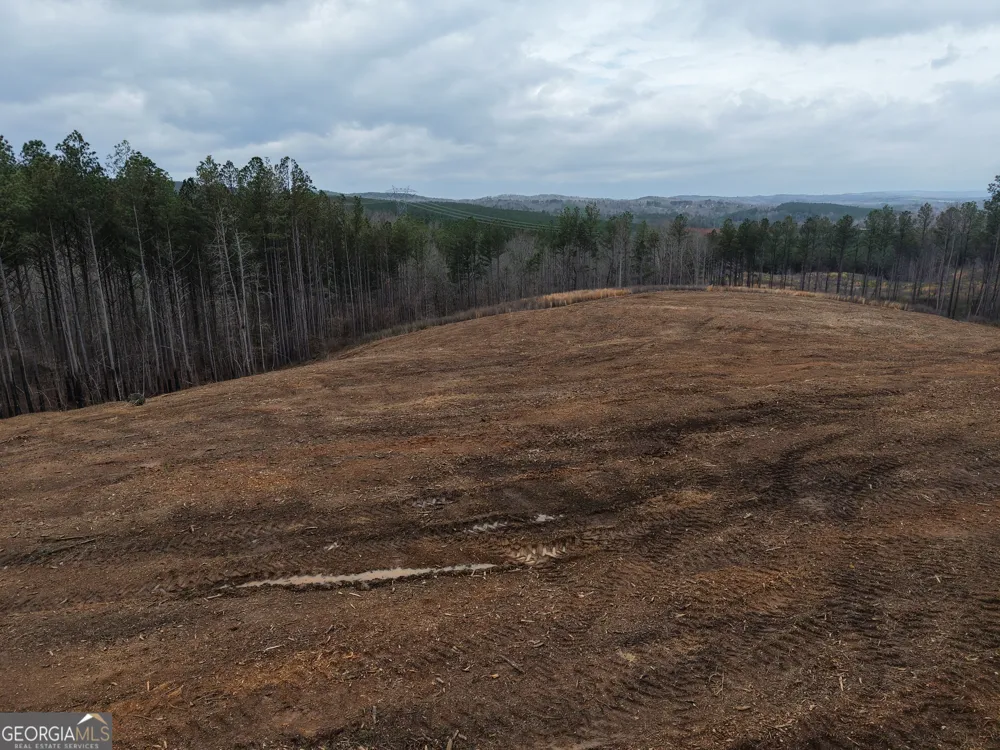 0 Johnson Mountain RD Rydal, GA 30171