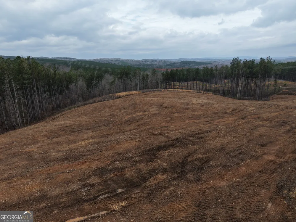 0 Johnson Mountain RD Rydal, GA 30171