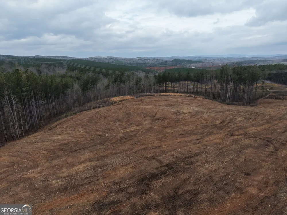 0 Johnson Mountain RD Rydal, GA 30171