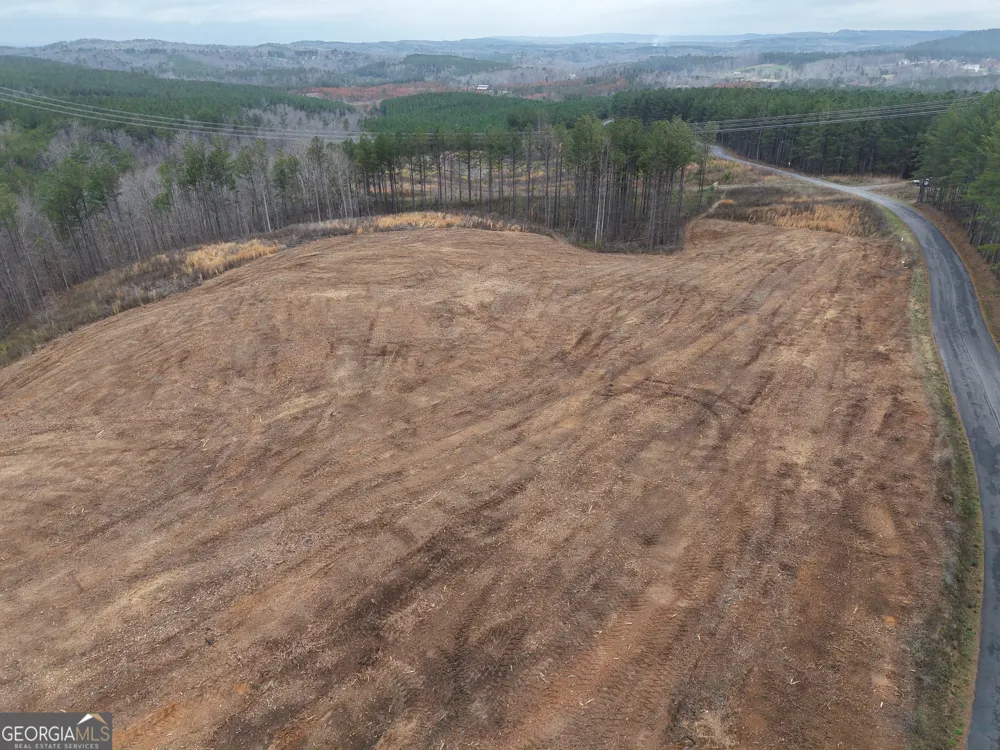 0 Johnson Mountain RD Rydal, GA 30171