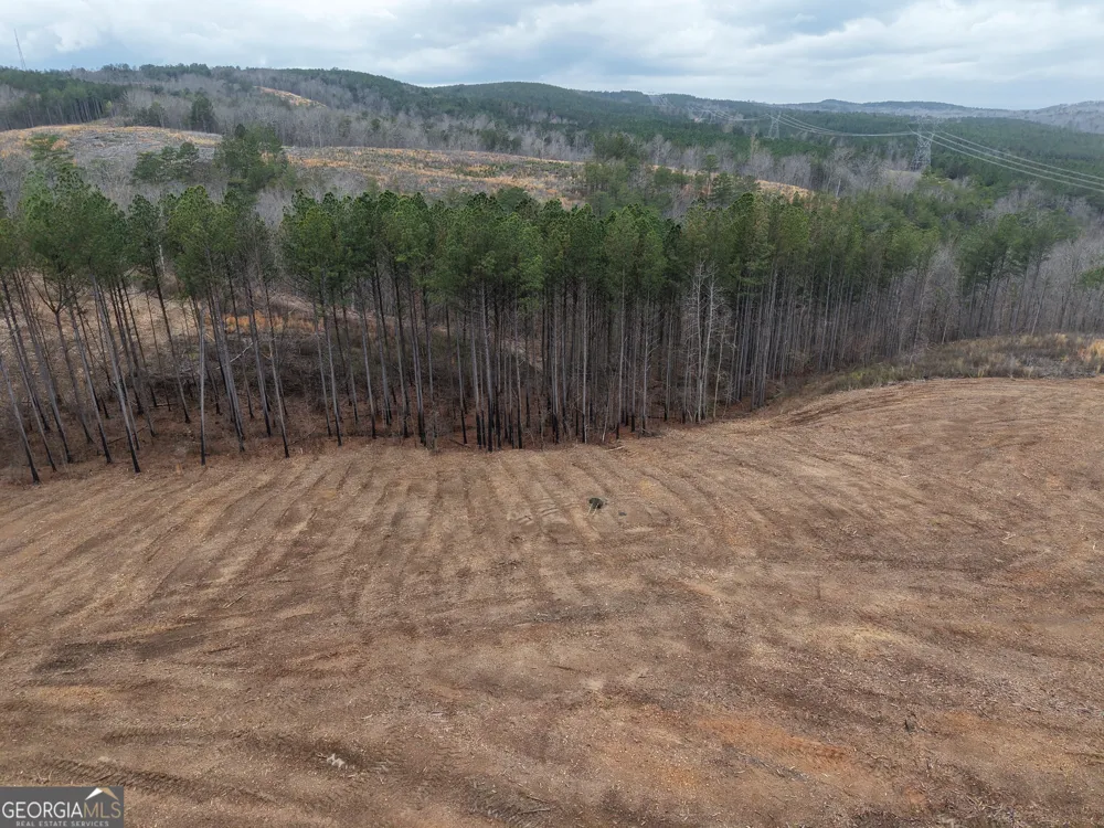 0 Johnson Mountain RD Rydal, GA 30171