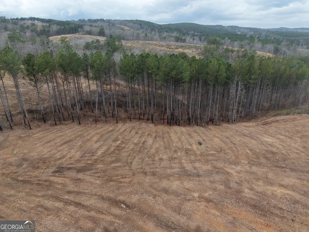 0 Johnson Mountain RD Rydal, GA 30171