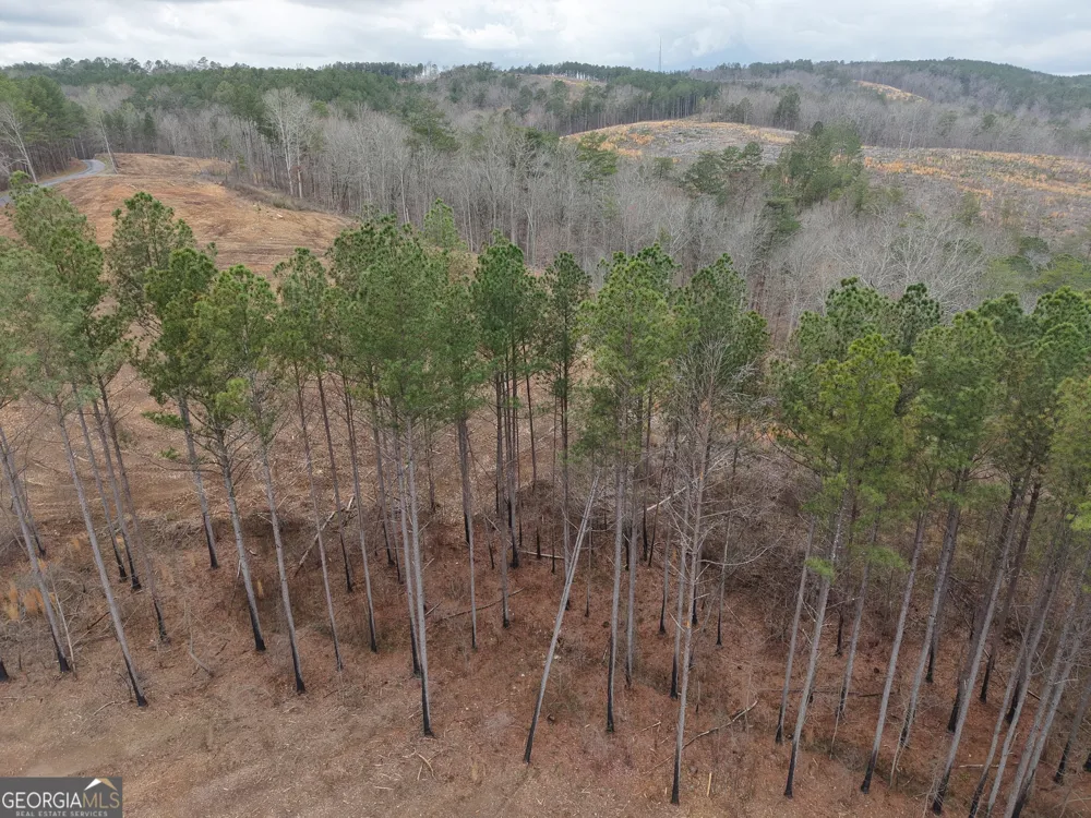 0 Johnson Mountain RD Rydal, GA 30171