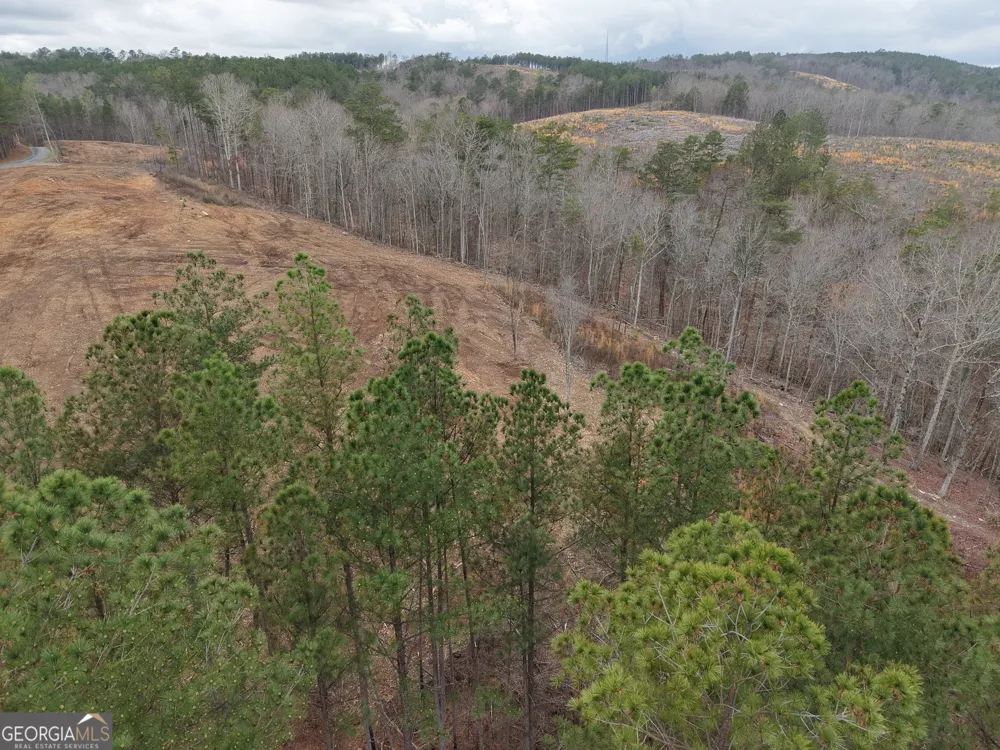 0 Johnson Mountain RD Rydal, GA 30171
